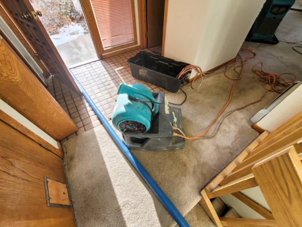 Best Basement water damage restoration  in Benton City, WA