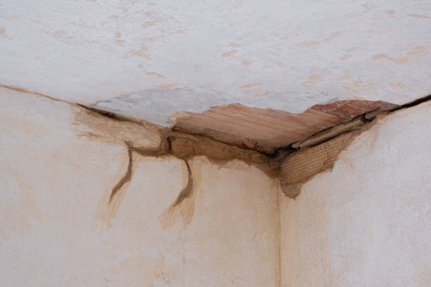 Best Flood restoration services  in Benton City, WA