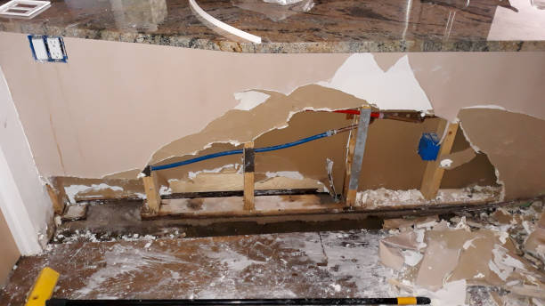 Best Professional water damage repair  in Benton City, WA