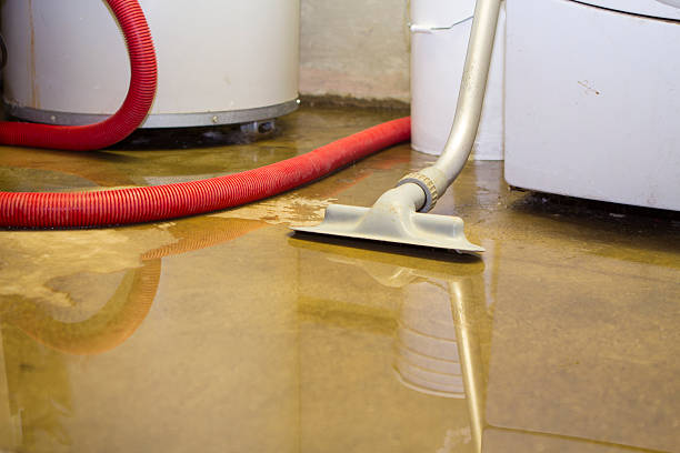 Best Mold removal after water damage  in Benton City, WA