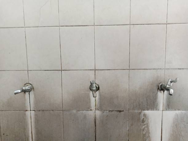 Best Carpet water damage restoration  in Benton City, WA