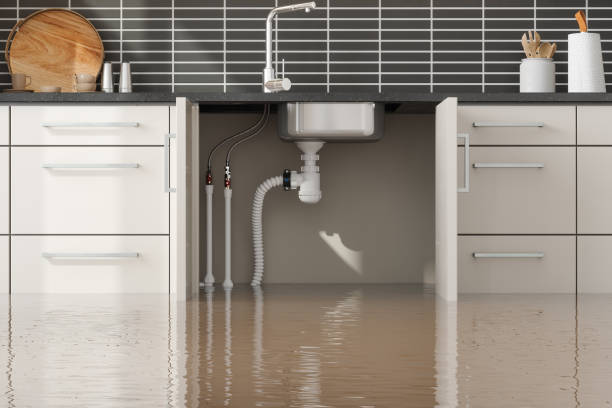 Best Water damage restoration cost  in Benton City, WA
