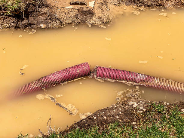 Trusted Benton City, WA Water damage restoration Experts