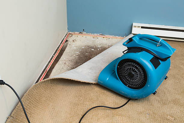 Best Fire Damage Restoration  in Benton City, WA